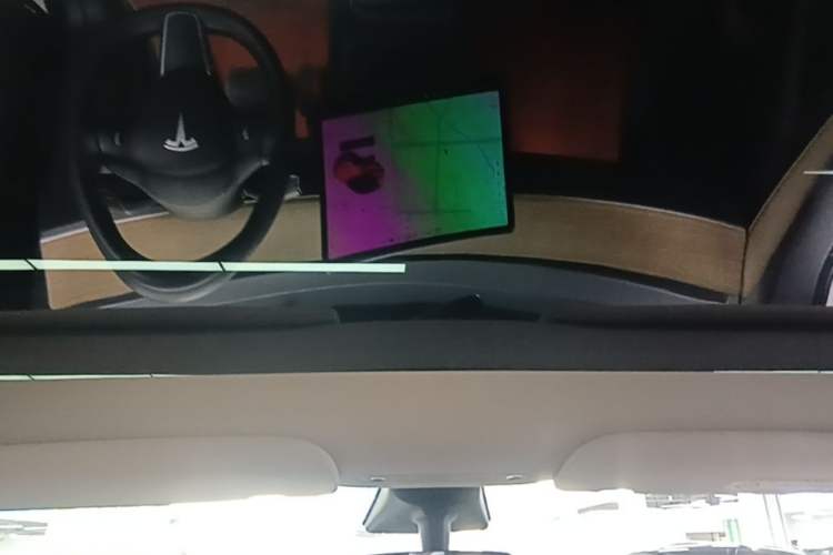 Used Tesla Model Y 2021 Standard Range Rear-Wheel Drive Version Headliner