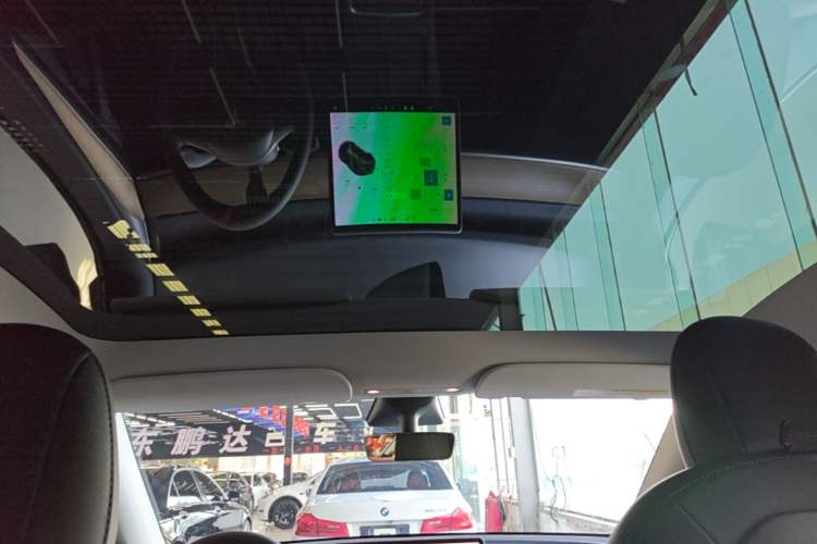 Used Tesla Model Y 2021 Standard Range Rear-Wheel Drive Version Headliner