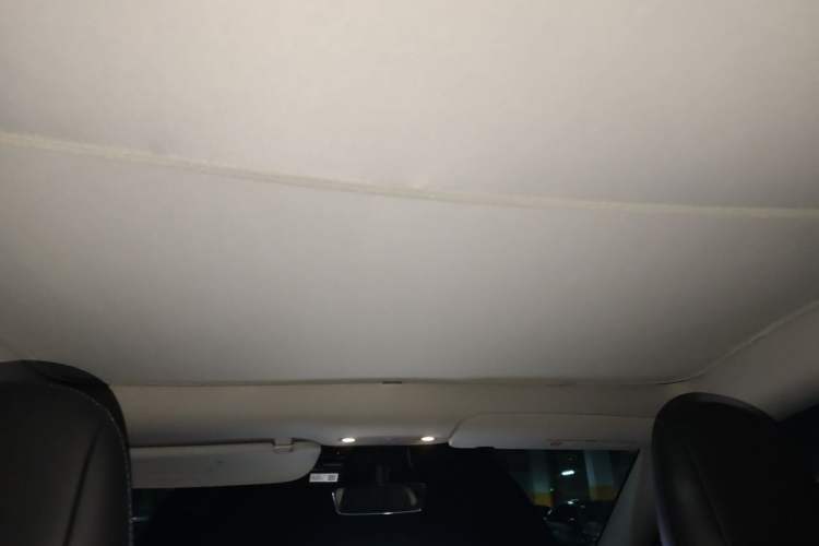 Used Tesla Model Y 2021 Standard Range Rear-Wheel Drive Version Headliner