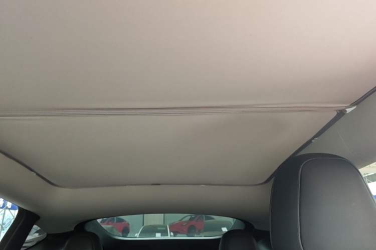 Used Tesla Model Y 2021 Standard Range Rear-Wheel Drive Version Headliner