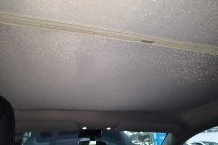 Used Tesla Model Y 2021 Standard Range Rear-Wheel Drive Version Headliner