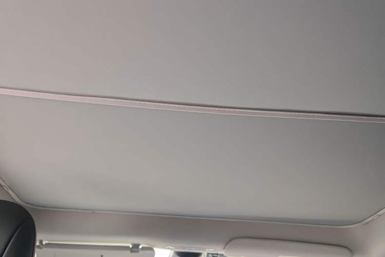 Used Tesla Model Y 2021 Standard Range Rear-Wheel Drive Version Headliner