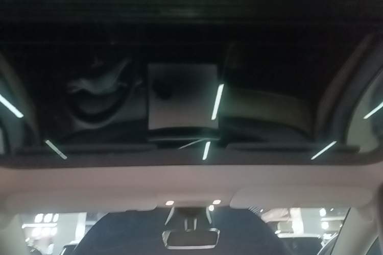 Used Tesla Model Y 2021 Standard Range Rear-Wheel Drive Version Headliner