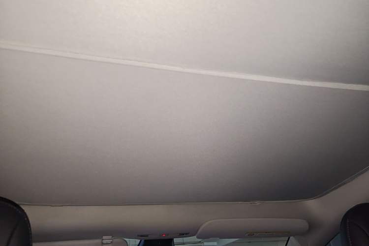 Used Tesla Model Y 2021 Standard Range Rear-Wheel Drive Version Headliner