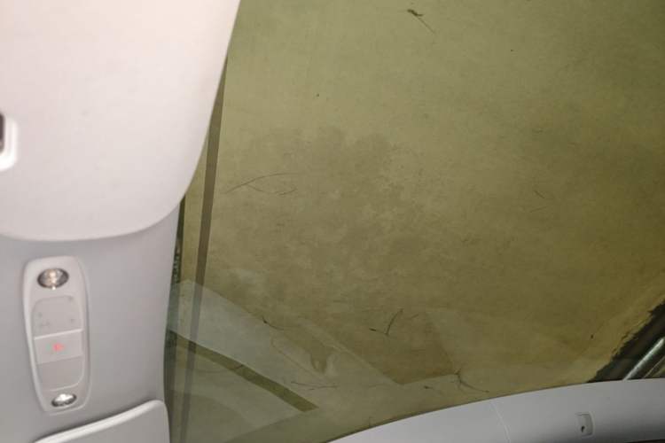 Used Tesla Model Y 2021 Standard Range Rear-Wheel Drive Version Headliner