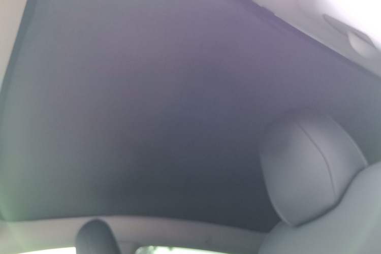 Used Tesla Model Y 2021 Long-Range All-Wheel-Drive Version Headliner