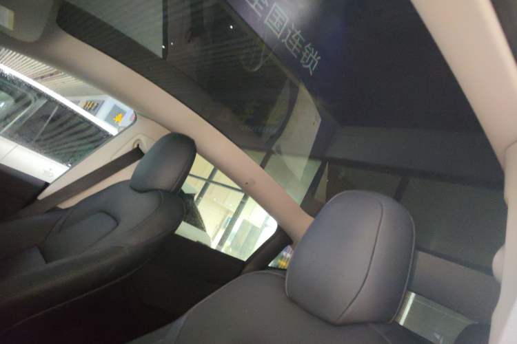 Used Tesla Model Y 2021 Standard Range Rear-Wheel Drive Version Headliner