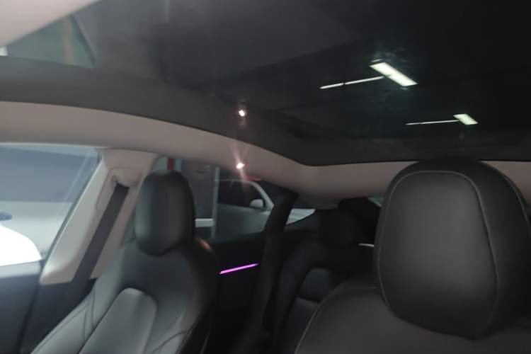 Used Tesla Model Y 2021 Long-Range All-Wheel-Drive Version Headliner