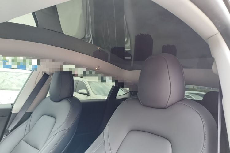 Used Tesla Model Y 2021 Long-Range All-Wheel-Drive Version Headliner