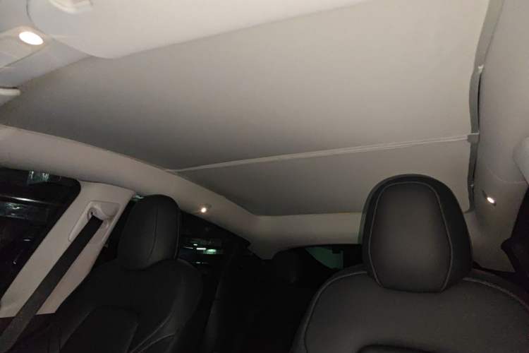 Used Tesla Model Y 2021 Standard Range Rear-Wheel Drive Version Headliner