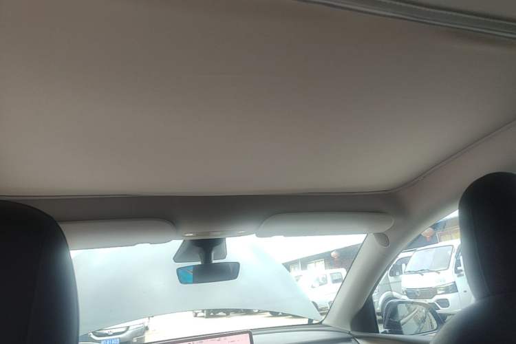 Used Tesla Model Y 2021 Standard Range Rear-Wheel Drive Version Headliner