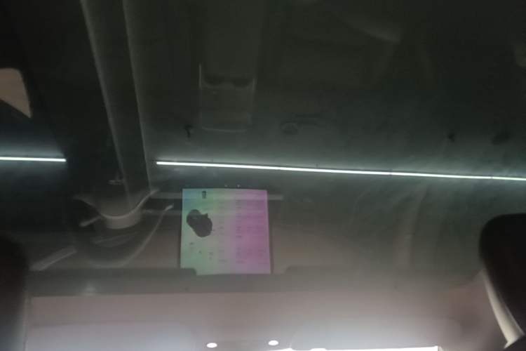 Used Tesla Model Y 2021 Standard Range Rear-Wheel Drive Version Headliner