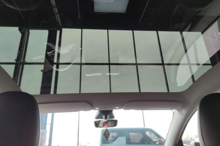 Used Tesla Model Y 2021 Standard Range Rear-Wheel Drive Version Headliner