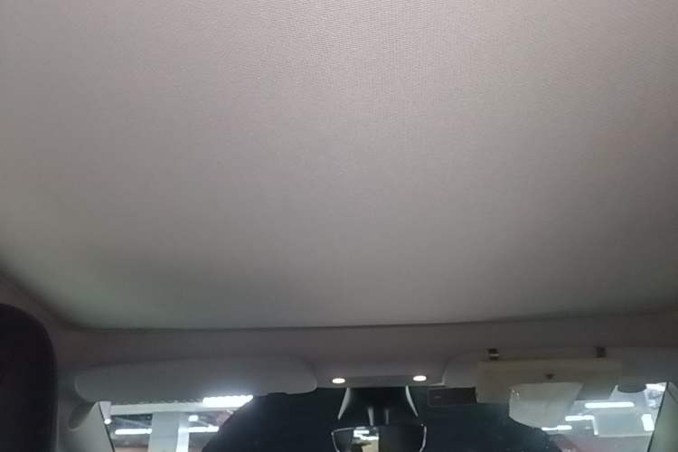 Used Tesla Model Y 2021 Standard Range Rear-Wheel Drive Version Headliner