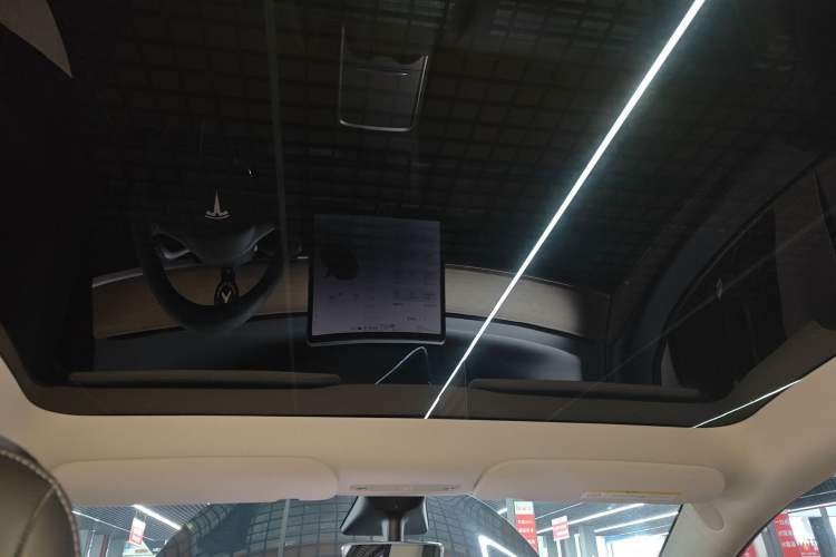 Used Tesla Model Y 2021 Standard Range Rear-Wheel Drive Version Headliner