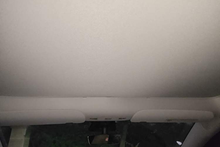 Used Tesla Model Y 2021 Standard Range Rear-Wheel Drive Version Headliner
