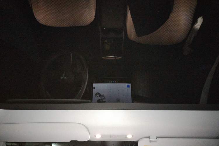 Used Tesla Model Y 2021 Standard Range Rear-Wheel Drive Version Headliner