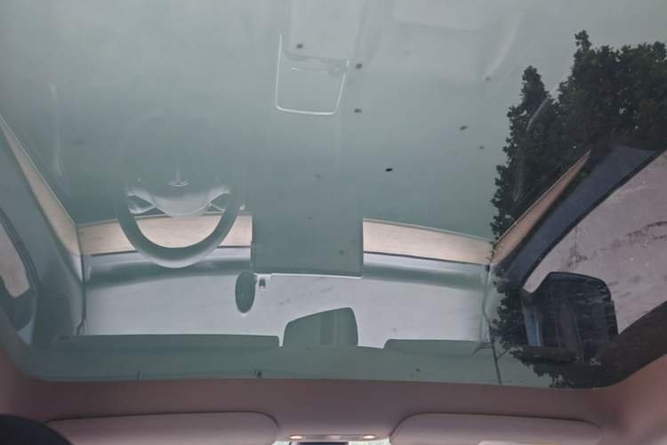 Used Tesla Model Y 2021 Standard Range Rear-Wheel Drive Version Headliner