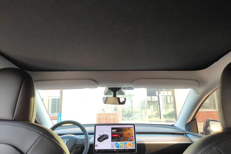 Used Tesla Model Y 2021 Long-Range All-Wheel-Drive Version Headliner