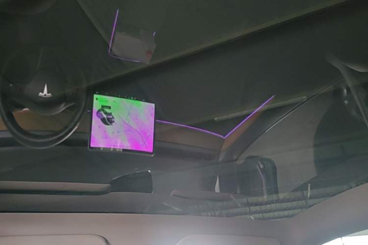 Used Tesla Model Y 2021 Standard Range Rear-Wheel Drive Version Headliner