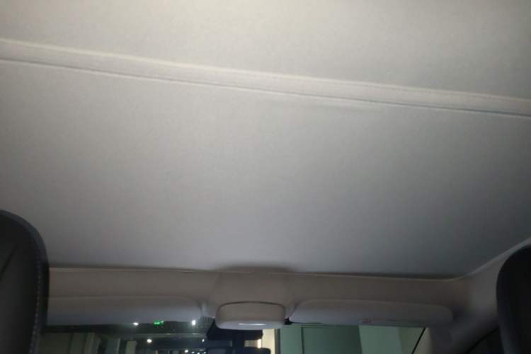 Used Tesla Model Y 2021 Standard Range Rear-Wheel Drive Version Headliner