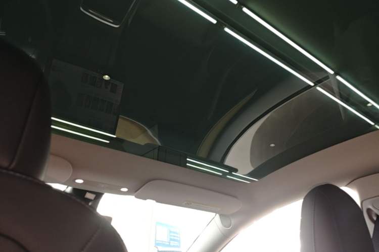 Used Tesla Model Y 2021 Standard Range Rear-Wheel Drive Version Headliner