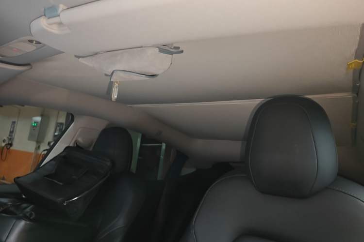 Used Tesla Model Y 2021 Standard Range Rear-Wheel Drive Version Headliner