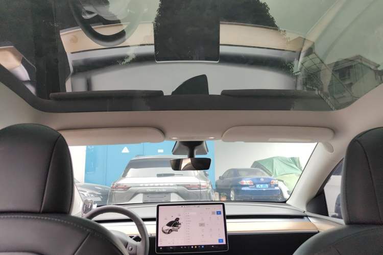 Used Tesla Model Y 2021 Standard Range Rear-Wheel Drive Version Headliner