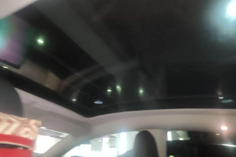 Used Tesla Model Y 2021 Performance High-Performance All-Wheel-Drive Version Headliner