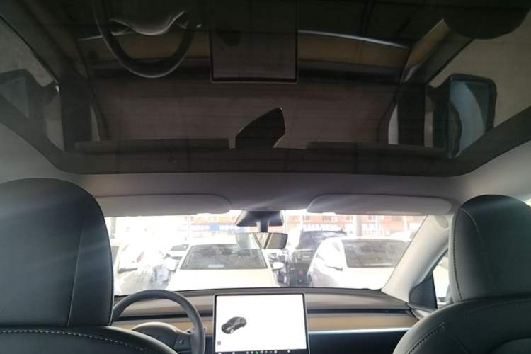 Used Tesla Model Y 2021 Standard Range Rear-Wheel Drive Version Headliner