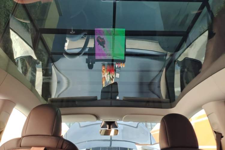 Used Tesla Model Y 2021 Standard Range Rear-Wheel Drive Version Headliner