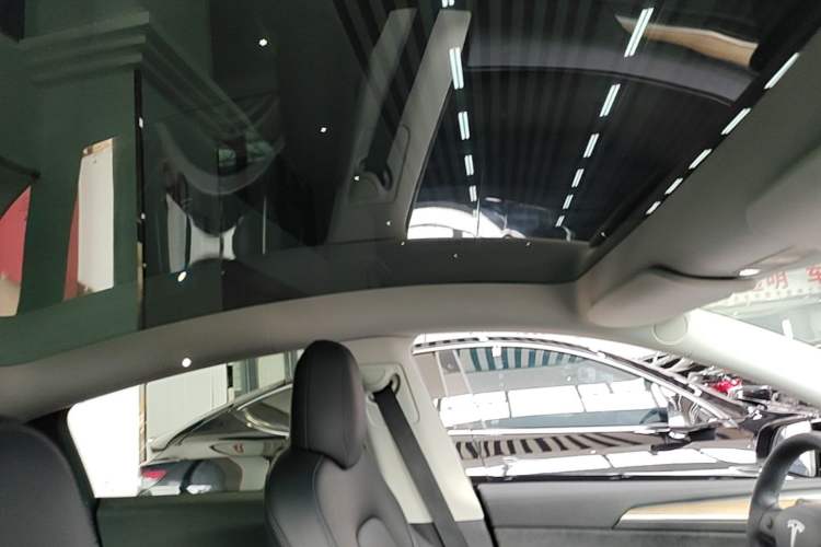 Used Tesla Model Y 2021 Standard Range Rear-Wheel Drive Version Headliner