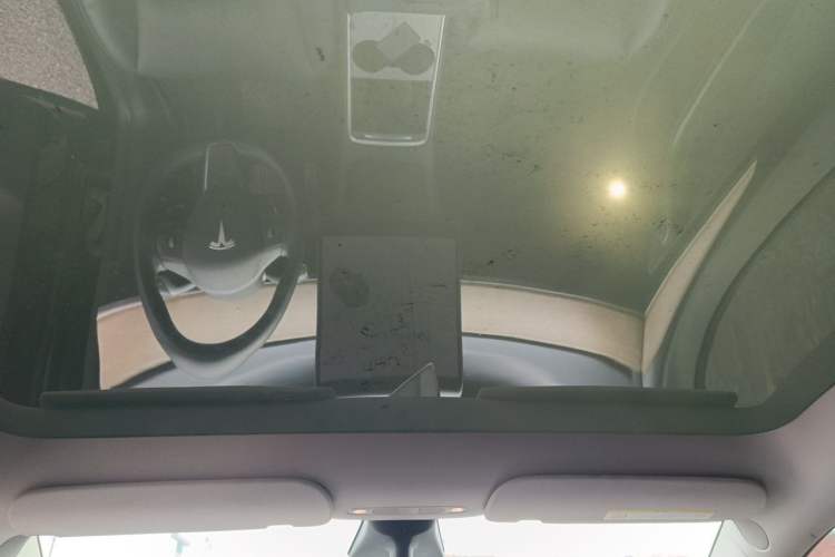 Used Tesla Model Y 2021 Standard Range Rear-Wheel Drive Version Headliner