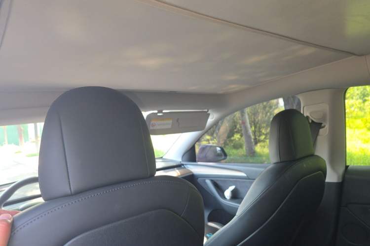 Used Tesla Model Y 2021 Long-Range All-Wheel-Drive Version Headliner