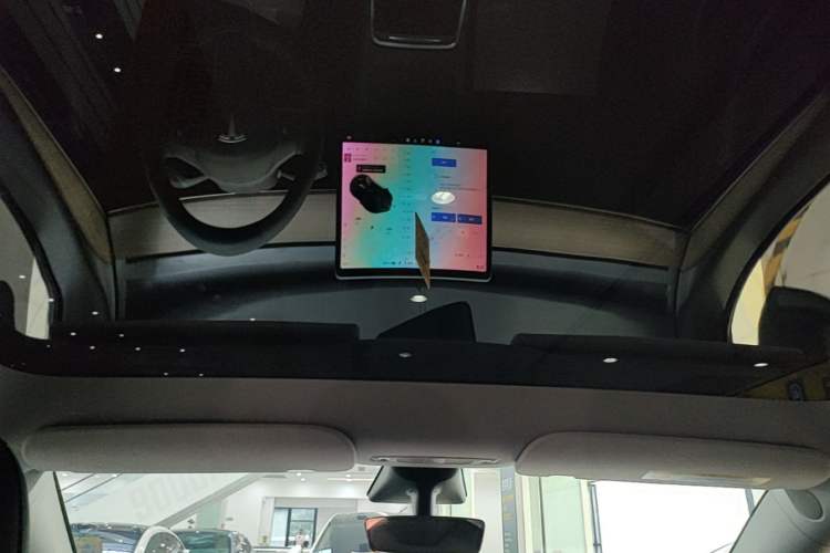 Used Tesla Model Y 2021 Standard Range Rear-Wheel Drive Version Headliner