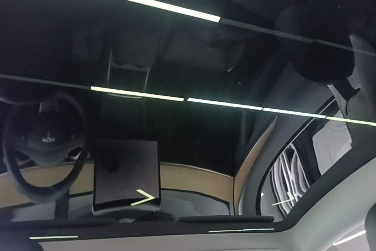 Used Tesla Model Y 2021 Standard Range Rear-Wheel Drive Version Headliner