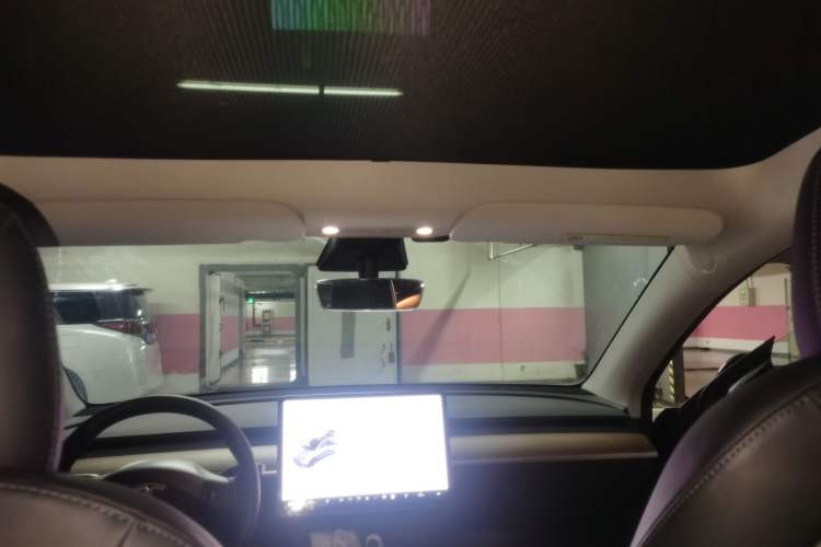 Used Tesla Model Y 2021 Standard Range Rear-Wheel Drive Version Headliner