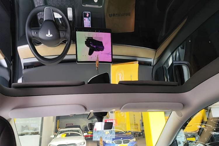 Used Tesla Model Y 2021 Performance High-Performance All-Wheel-Drive Version Headliner