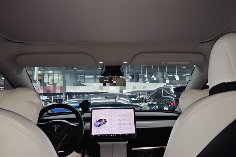Used Tesla Model Y 2021 Performance High-Performance All-Wheel-Drive Version Headliner