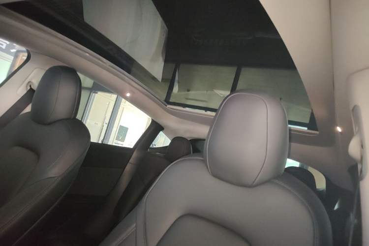 Used Tesla Model Y 2021 Standard Range Rear-Wheel Drive Version Headliner
