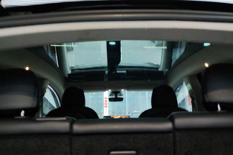 Used Tesla Model Y 2021 Long-Range All-Wheel-Drive Version Headliner