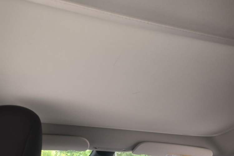 Used Tesla Model Y 2021 Standard Range Rear-Wheel Drive Version Headliner