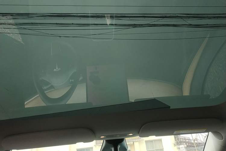 Used Tesla Model Y 2021 Standard Range Rear-Wheel Drive Version Headliner