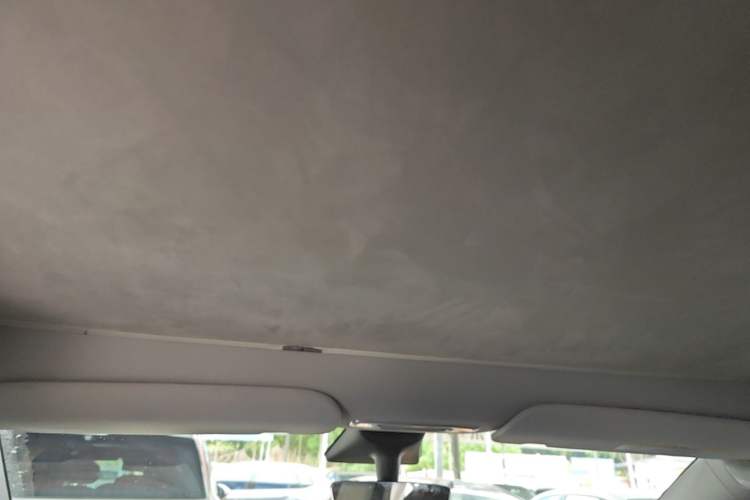 Used Tesla Model Y 2021 Standard Range Rear-Wheel Drive Version Headliner