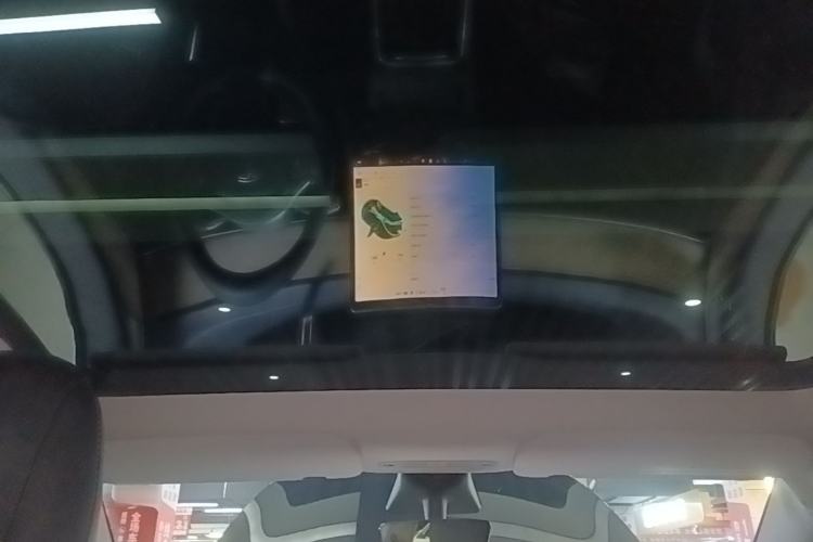 Used Tesla Model Y 2021 Standard Range Rear-Wheel Drive Version Headliner