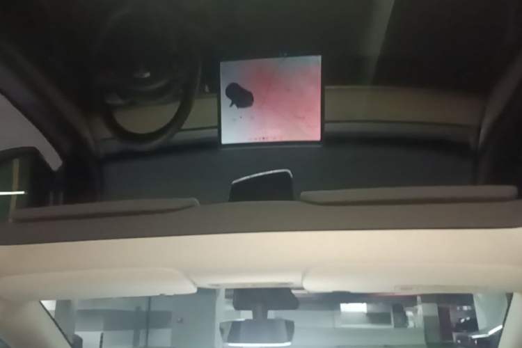 Used Tesla Model Y 2021 Standard Range Rear-Wheel Drive Version Headliner