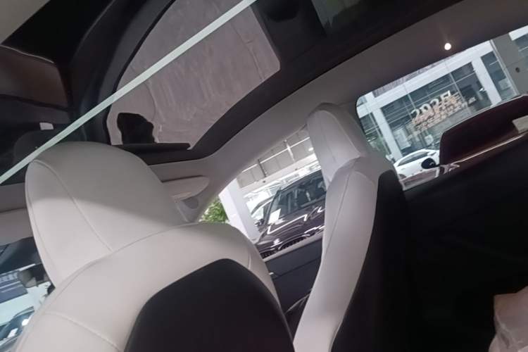 Used Tesla Model Y 2021 Long-Range All-Wheel-Drive Version 3D7 Headliner