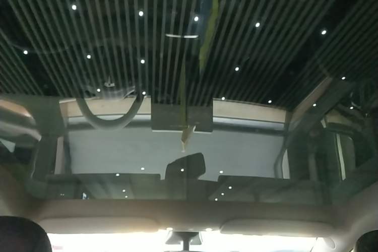 Used Tesla Model Y 2021 Standard Range Rear-Wheel Drive Version Headliner
