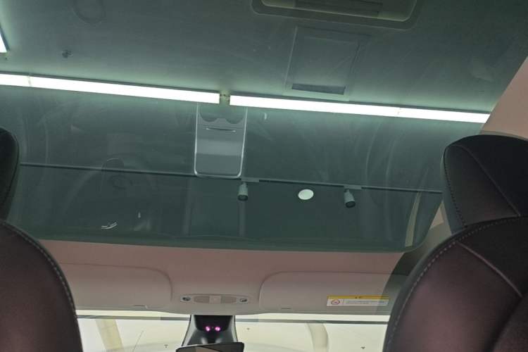 Used Tesla Model Y 2021 Performance High-Performance All-Wheel-Drive Version Headliner