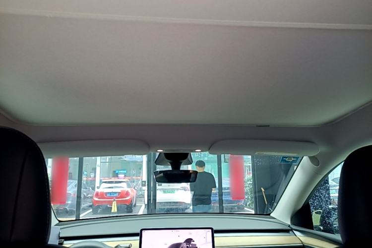Used Tesla Model Y 2021 Performance High-Performance All-Wheel-Drive Version Headliner